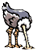 :ostrich