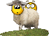 :sheepshagger